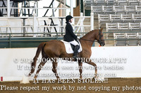 Arena 1&2 All Photos- Saturday