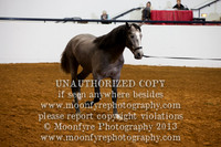 106 - National Grand Championship Andalusian Colts 2 Yrs Old & Under