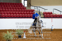 23B Working Equitation Obstacles Phase L4