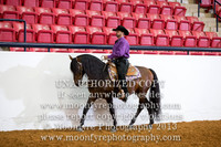088 National Championship Andalusian Western Pleasure Open