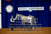 Lindsay Turner Private Award Photo Session