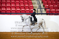123 - Natl. Championship Andalusian English Show Hack Amateur