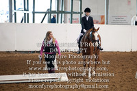 269 Handsome Ransom (Megan Abernathy)