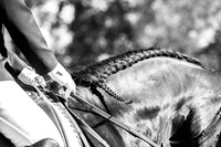 March 28, 2015 Schooling Show