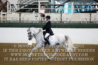 Arena 1&2 Saturday
