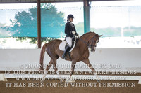 Arena 3 (Wheless)- Sunday