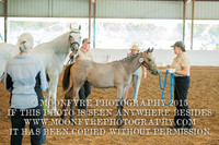 Breed Show