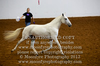 136 - Opportunity Liberty Class - Open to All Breeds