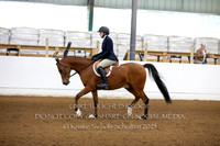Sport Horse Under Saddle
