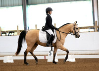 2023 Spindletop Arabian Horse Club
