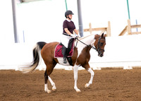 2023 HDS Summer Show