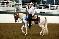 2013 Spindletop Arabian and Diamond Classic Dressage Show