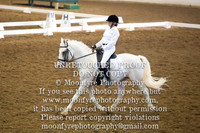 Individual Horse/Rider Galleries