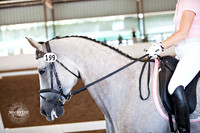 199 Winterfair Web Sized Images for Downloading