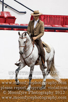 030 IALHA National Championship Lusitano Stallions 6 Years and Over (In Hand & Under Saddle)