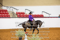 22B Working Equitation Obstacles Phase L3