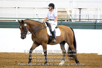 387 Sir Williams Maximus