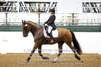 Arena 2&3- Saturday, All Photos