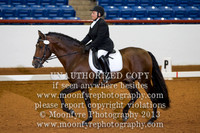 Dressage: Individual Horse Galleries