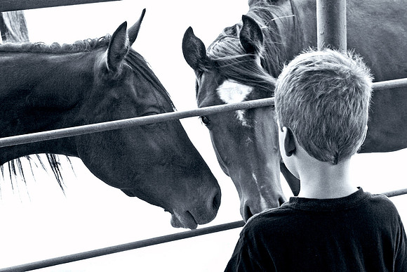 horse photographer tx g3