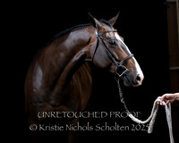 Patrick's Studio Portrait Proofs