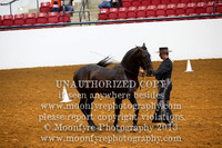 132/133/134/135 Best Piaffe, Passage, Spanish Walk and Dancing Horse Events