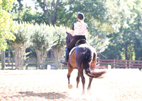 May 13, 2017 Schooling Show