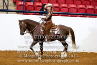 152 - Natl. Championship Andalusian Country Pleasure Driving Jr. Horse