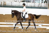 277 Artagnan