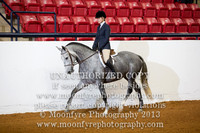 150 - Natl. Championship Half-Andalusian English Pleasure Hunt Seat Open
