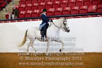 079 National Champion Half Andalusian Country English Pleasure