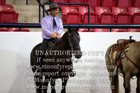 Working Equitation Awards