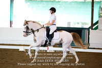 2014 Houston Dressage Society Laborious Day Show