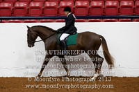 028 IALHA National Championship Lusitano Saddle Geldings