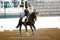2014 HDS Deep in the Heart of Texas Dressage Show
