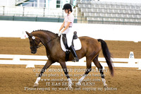 393 Flovina