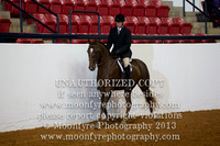 158 - Natl. Championship Andalusian english Pleasure Hunt Seat Amateur