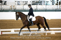 298 Figaro H
