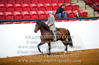 126 - Andalusian Country English Pleasure Open
