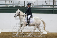 293 Blue Sprinkle (Fiona Patterson)