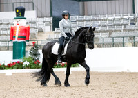 2024 HDS Schooling Show Championships
