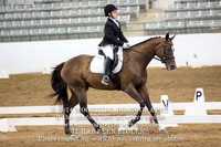 Unitentified Horses