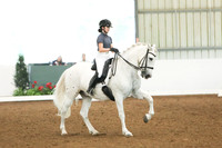 2024 HDS Summer Show