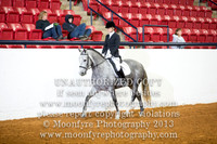 140 - Natl. Championship Half-Andalusian Dressage Suitability Open
