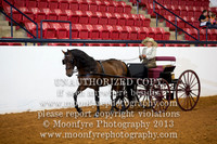 141 - Natl. Championship Andalusian Carriage Pleasure Driving Amateur