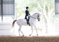 2019 HDS Winter Show and Awards Banquet