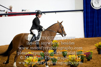 Working Equitation Speed Events