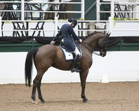 Cate Schmidt and Fontainebleu