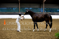 Breed Show