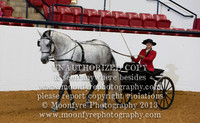 83 National Champion Andalusian Country Pleasure Driving Amateur